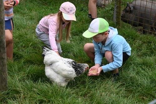 Boerderijvakantie - Iedereen Verdient Vakantie