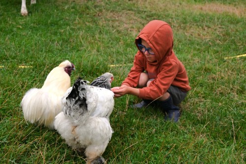 Boerderijvakantie - Iedereen Verdient Vakantie