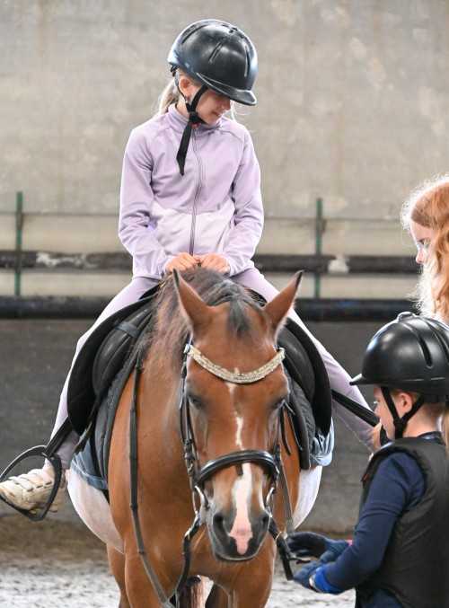 Met Crejaksie in galop