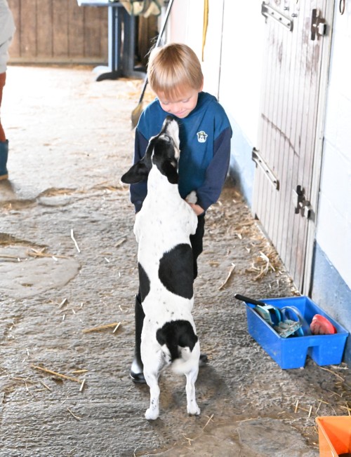 Met Crejaksie in galop