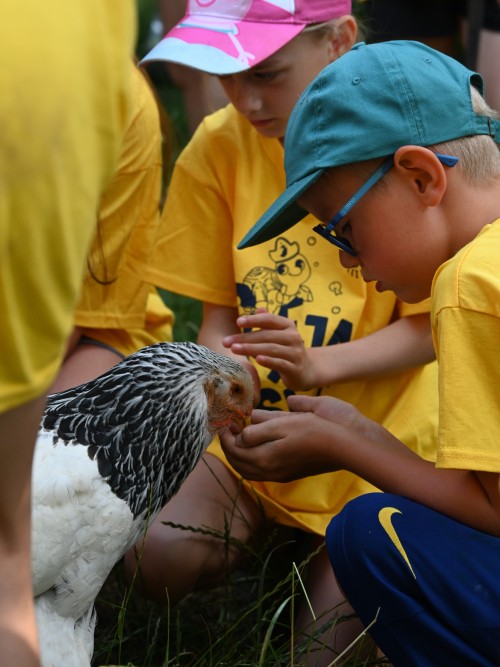 Kennismakingsvakantie - Brasserie Brakel
