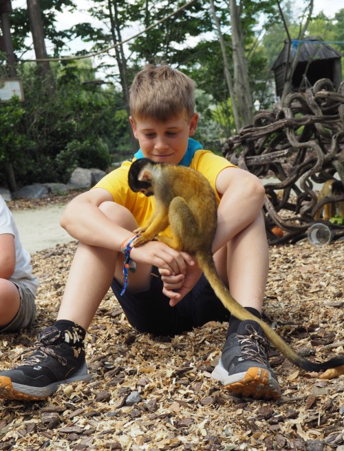 Zookeepers @ Pairi Daiza