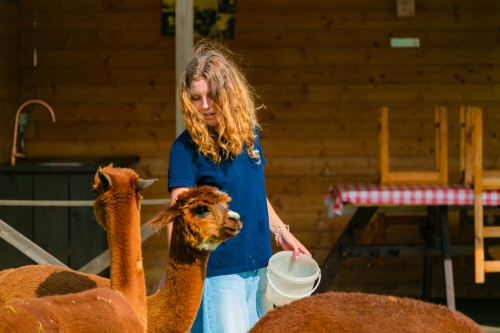 Kennismakingsvakantie - De boomhuthelden