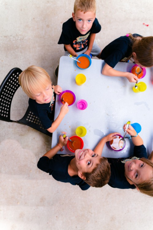 Kennismakingsvakantie - De boomhuthelden