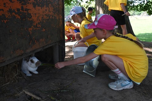 Kabaal in de stal (zonder overnachting)