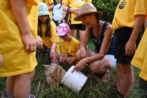 Kabaal in de stal (zonder overnachting)