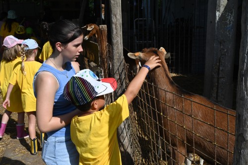 Boerenstebuiten (zonder overnachting)