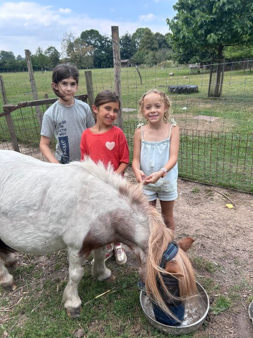 Boerenstebuiten (zonder overnachting)