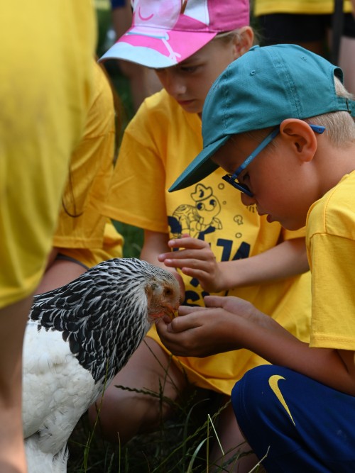 Boerenstebuiten (zonder overnachting)