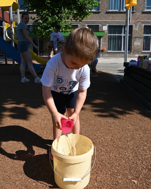 Van Afrika tot Amerika