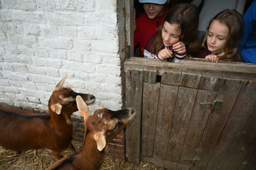 Kabaal in de stal (zonder overnachting)