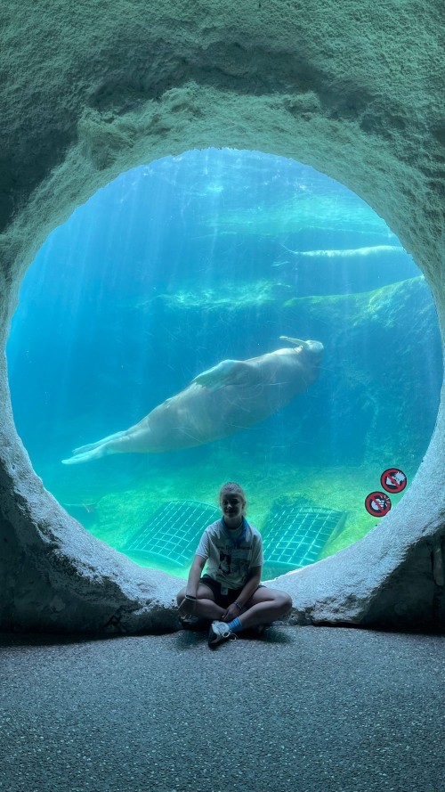 Zookeepers @ Pairi Daiza