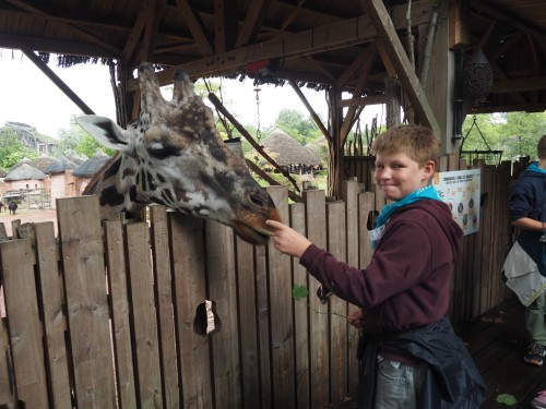 Zookeepers @ Pairi Daiza