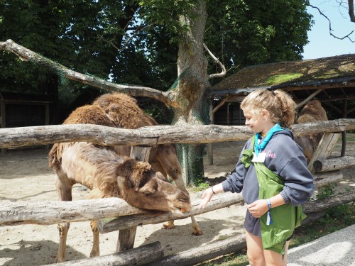 Zookeepers @ Pairi Daiza