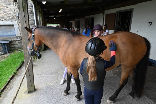 Met Crejaksie in galop