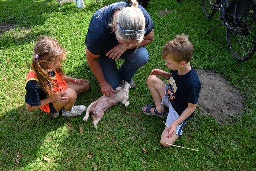 Kennismakingsvakantie - De boomhuthelden