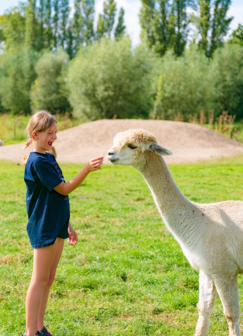 Het geheim spelverbond