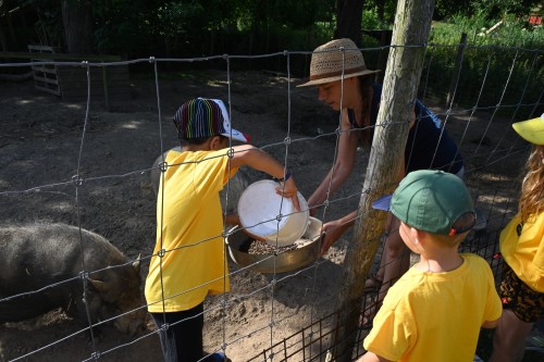 Vakantie op de Diggieboerderij - Iedereen verdient vakantie