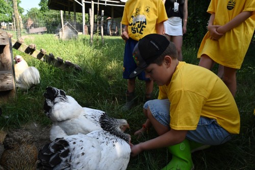 Vakantie op de Diggieboerderij - Iedereen verdient vakantie