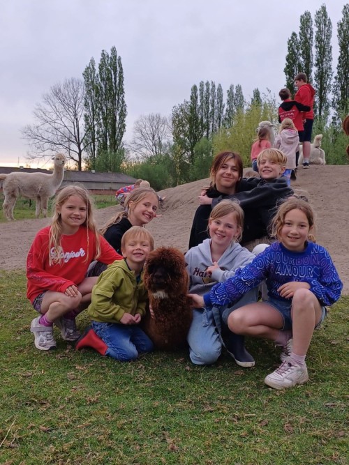 Vakantie op de alpacaboerderij - Iedereen verdient vakantie