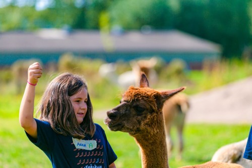 Vakantie op de alpacaboerderij - Iedereen verdient vakantie