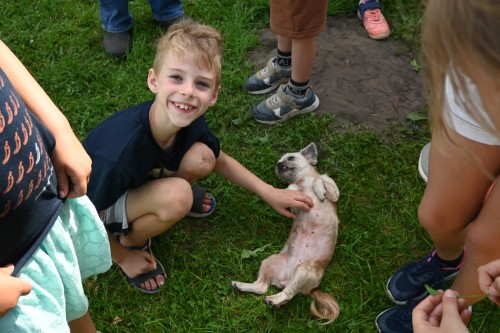 Vakantie op de alpacaboerderij - Iedereen verdient vakantie