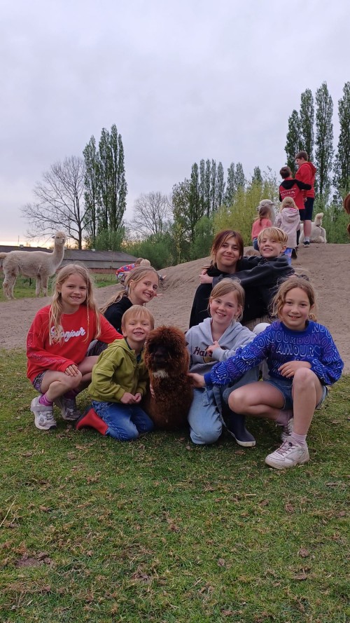 Alpaca Bake Off