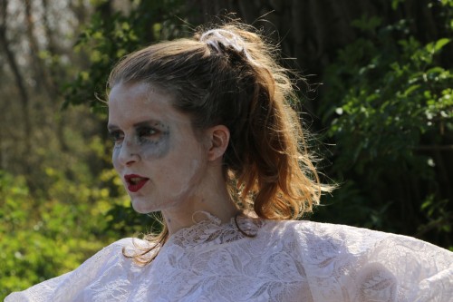 Het Halloweenmysterie