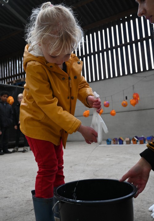 Dolle beestenboel